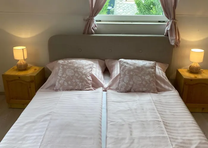 Vazsonyi Vendeghaz 3* 블로톤퓌레드