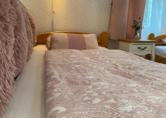 게스트하우스 Vazsonyi Vendeghaz 블로톤퓌레드