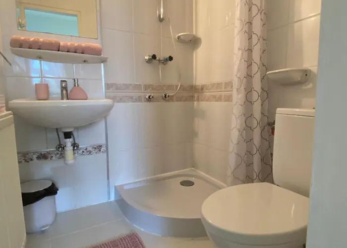 Vazsonyi Vendeghaz 게스트하우스 블로톤퓌레드