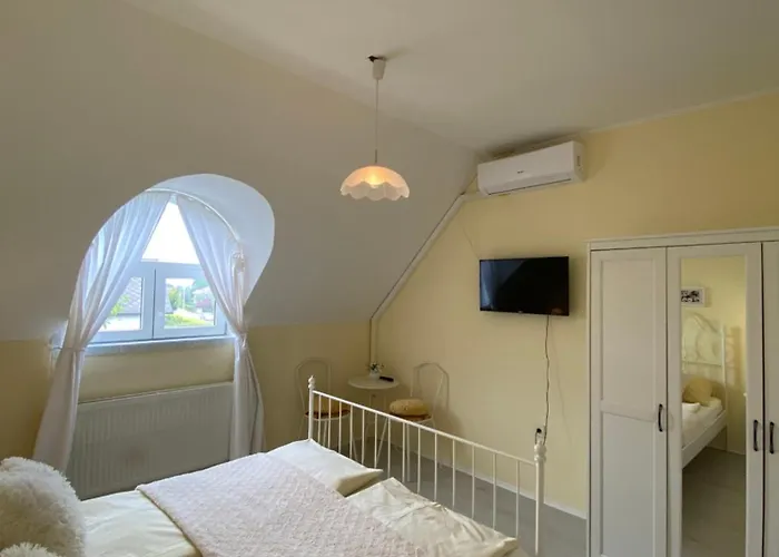 Vazsonyi Vendeghaz 블로톤퓌레드